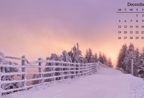 1688697142921409.png image.png