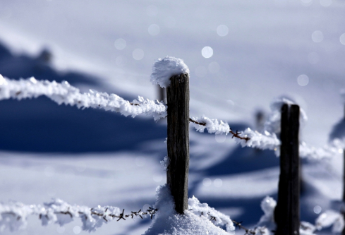 1688697804708445.png image.png