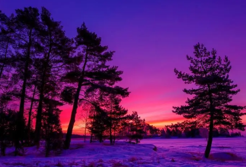 1688698466780561.png image.png