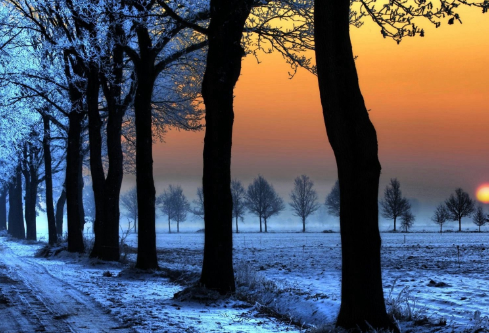 1688698632170126.png image.png