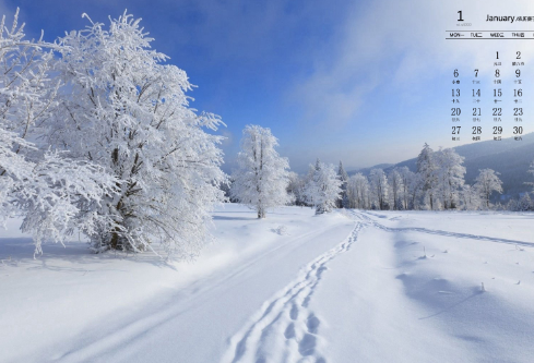 1688698798453316.png image.png