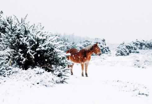 1688699625563287.png image.png