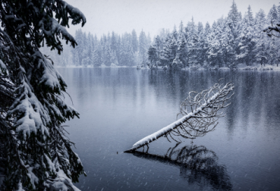 ​关于习惯学习的收藏版名言