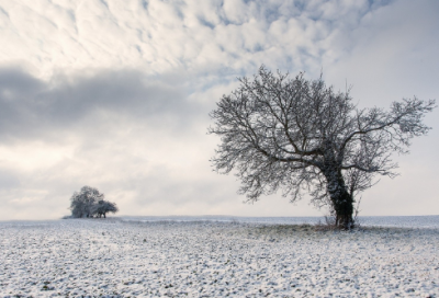 ​关于修养的名人名句