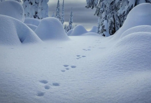 1688700784369106.png image.png