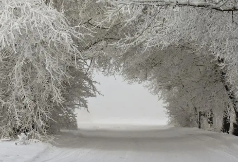 1688701115700159.png image.png