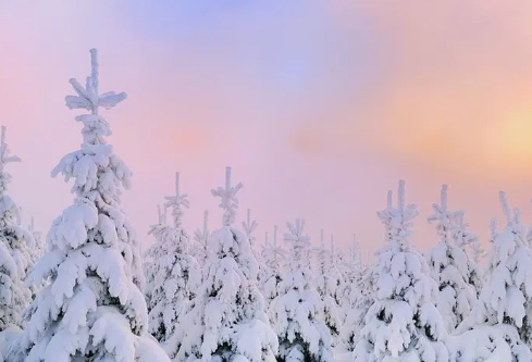 1688702109705314.png image.png