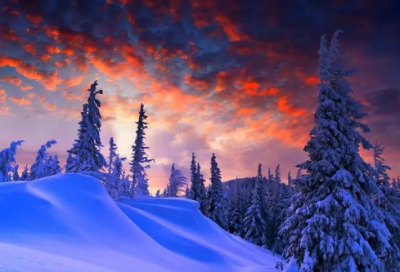 ​关于奉献精神的名言