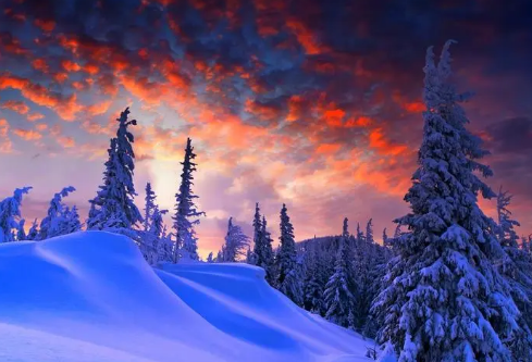 1688703104860791.png image.png