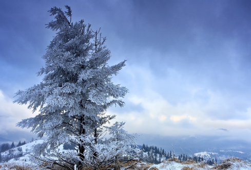 1688703269717568.png image.png