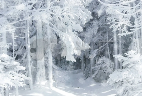 1688703767256570.png image.png