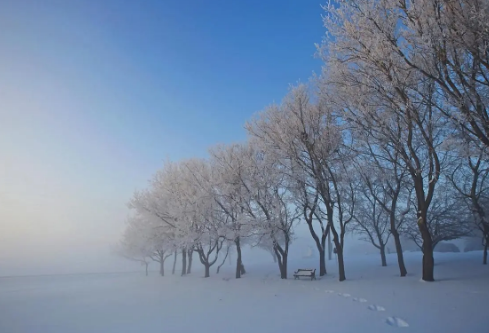 1688704264460095.png image.png