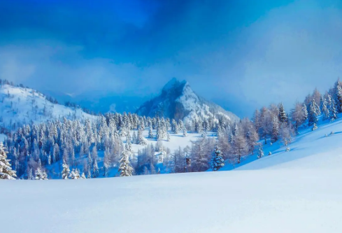 1688704429744517.png image.png