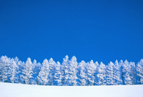 1688705092340372.png image.png