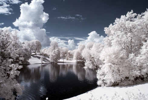 1688705589162476.png image.png