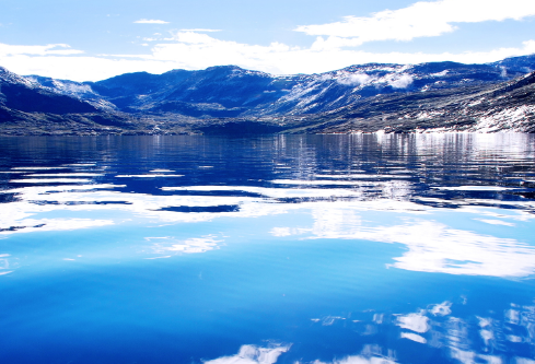 1688705919435478.png image.png