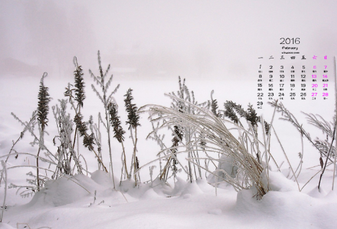 1688706085980388.png image.png