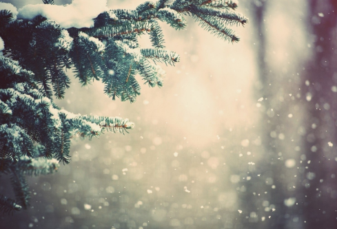 1688706582467805.png image.png