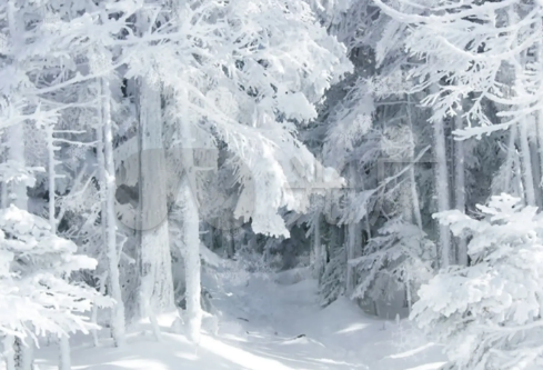 1688707577885678.png image.png