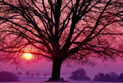 ​关于命运的名人格言