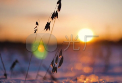 ​人生哲理格言警句