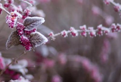 ​关于改正缺点的名人名言