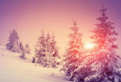 ​优美的名人名言大全