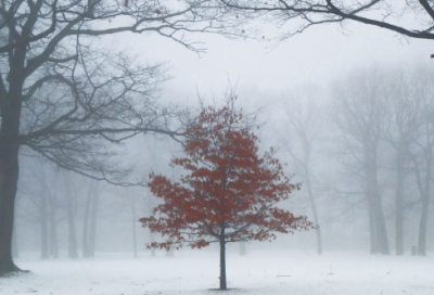 ​关于交友的名言警句