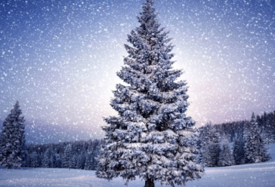 ​关于勤奋好学的名言句子大全