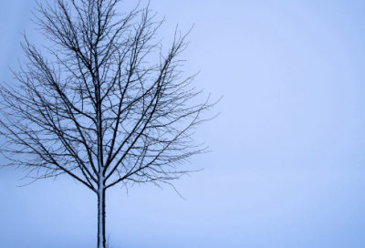 ​30句每天必读的读书名言警句