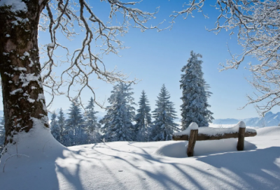 ​三年级课外名人名言