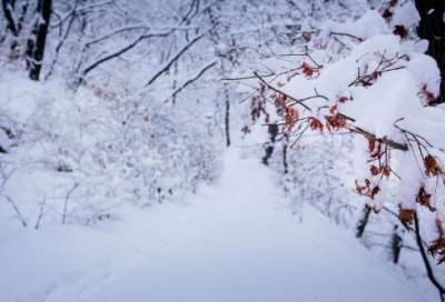 ​关于春节的诗词名句