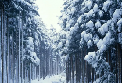 ​关于幸福的名言警句