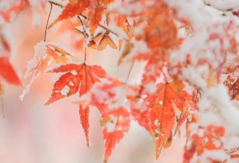 1688715528892096.png image.png