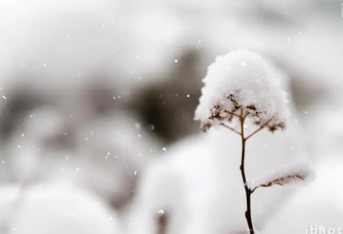 1688715859315832.png image.png