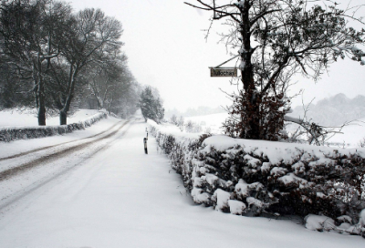 ​八礼四仪名人名言