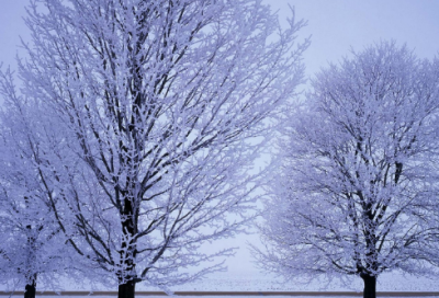 ​关于时间读书名言