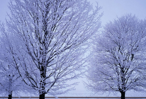 1688716688326122.png image.png