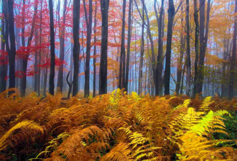 1688717019791346.png image.png