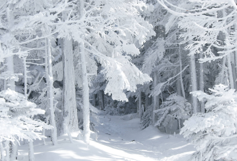 1688717184323602.png image.png