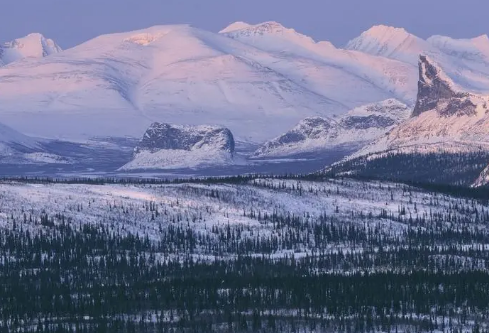 1688718344922385.png image.png