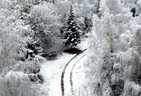 1688718509886356.png image.png