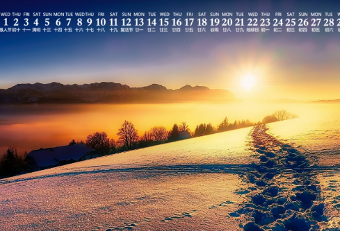 1688719172332062.png image.png