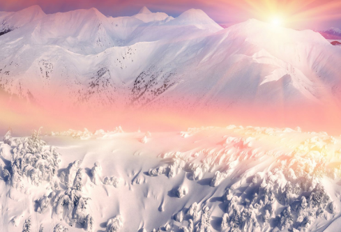 1688719503479246.png image.png