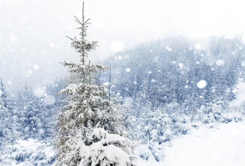 1688719669576668.png image.png