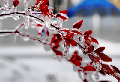 ​关于尊老爱幼的名人名言