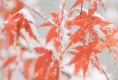 ​30句诸葛亮的名言警句