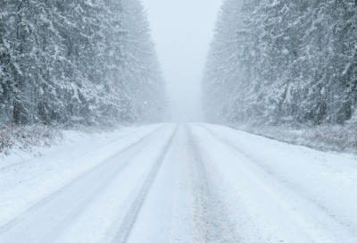 ​关于感恩的名人名言