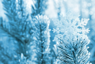 ​20句关于中学生励志学习名言警句