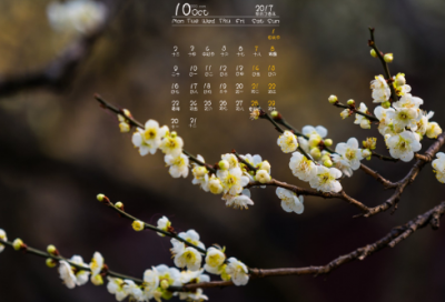 ​关于理智的名言警句